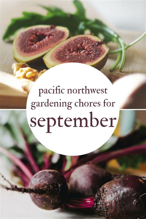September Gardening Chores For The Pacific Northwest Northwest Edible