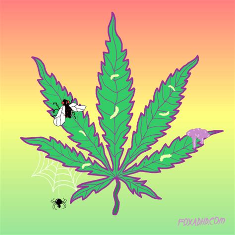 Weed  By Animation Domination High Def Find And Share On Giphy