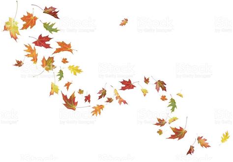Autumn Leaves Blowing In The Wind Stock Fall Leaves Tattoo Tree