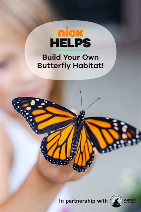 Build Your Own Butterfly Habitat Butterfly Habitat Habitats Butterfly