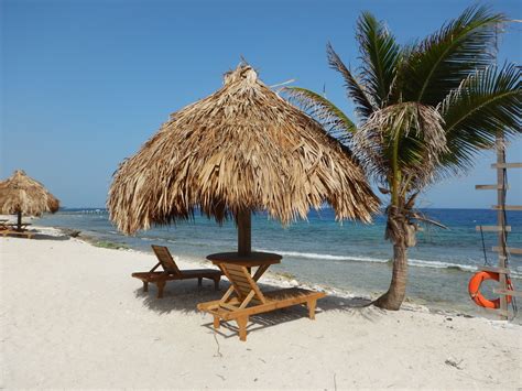 Utopia Dive Village | Dive resort, Village, Diving