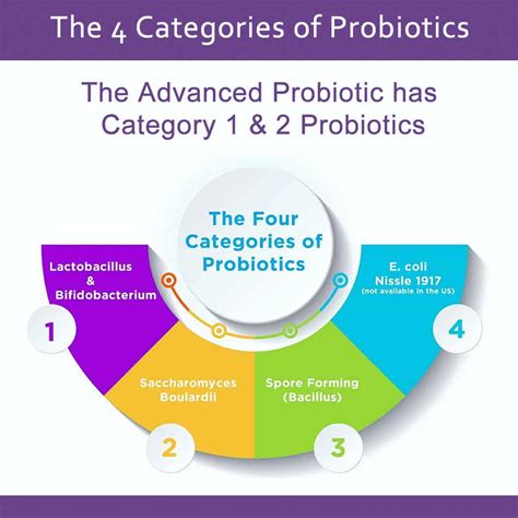 How To Pick A High Quality Probiotic Dr Daniel Functional Medicine