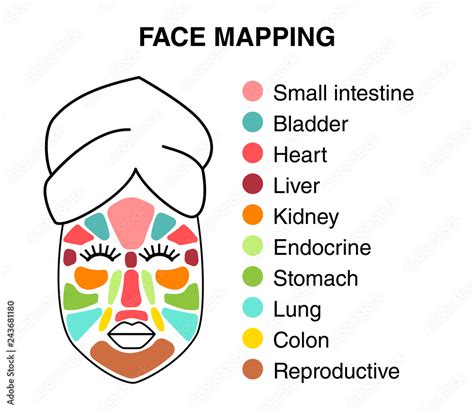 Cute Infographic Of Face Mapping Reasons Of Acne Inflammations Or Red