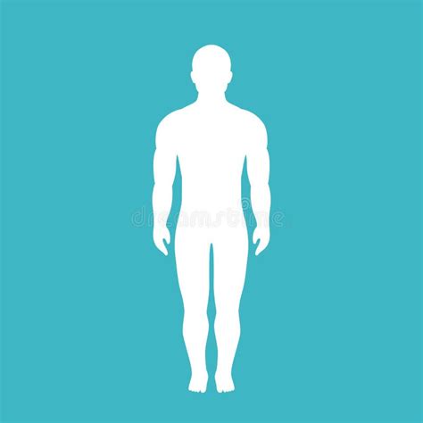 Silueta Humana Del Vector Del Cuerpo Masculino Ilustración Del Vector