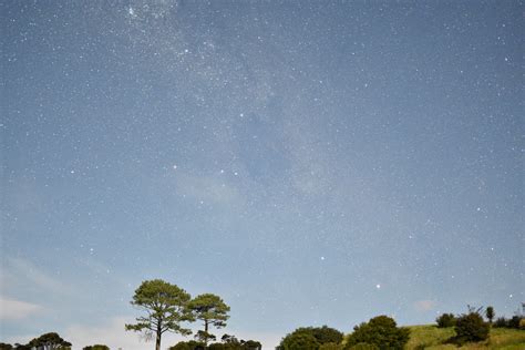 Coromandel Night Sky With Southern Cross Newzealand