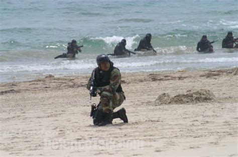 Mexican Navy Special Operations Force Defence Forum And Military Photos