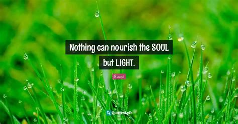 Nothing Can Nourish The Soul But Light Quote By Rumi Quoteslyfe