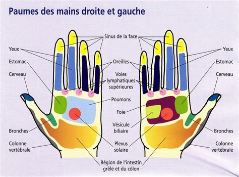 En effet, environ 2 à 4 au contraire, une douleur vive et transfixiante de la partie haute du ventre ou à droite peut être en lien avec une pathologie du pancréas ou de la vésicule biliaire. Appuyez sur les points de votre main pour apaiser vos douleurs