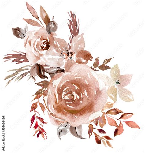 Pink Browns Clip Art Library