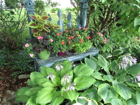Cheesehead Gardening Using Containers To Brighten Up Shady Spots