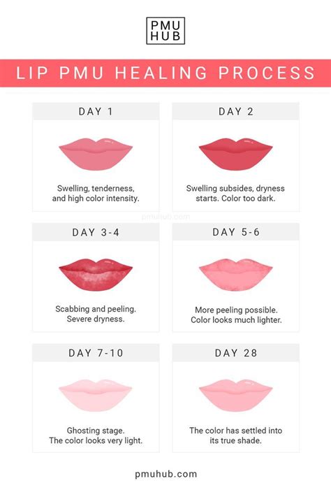 Lip Blush Healing Process Day By Day Timeline And Stages Lip