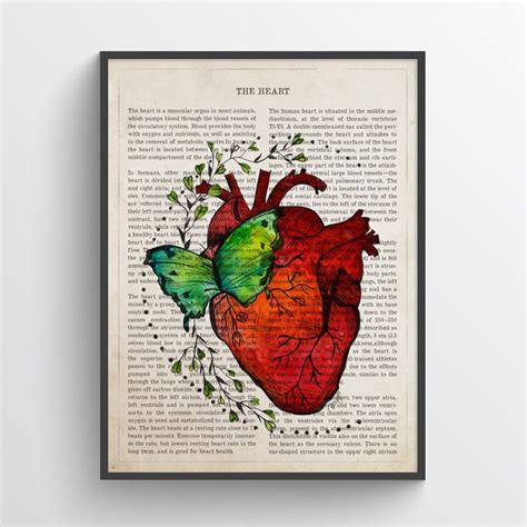 Heart Anatomy Print Medical Poster Cardiologist Gift Idea Etsy In