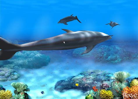 Living 3d Dolphins Animated Wallpaper Software Informer 3d