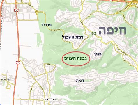 באתר תמצאו מידע על תחנות, לוחות זמנים ותכנון נסיעה, עדכונים שוטפים ותחומי פעילות. חיפה: "גבעת העזים" מתוכננת להיעלם ולהפוך ל"רמת גוראל ...