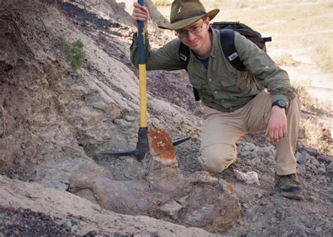 Asymmetrical Dinosaur Skull Discovery Turns Paleontology Assumptions On