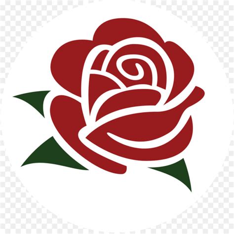 Rose Icon Thế Giới Hoa Hồng