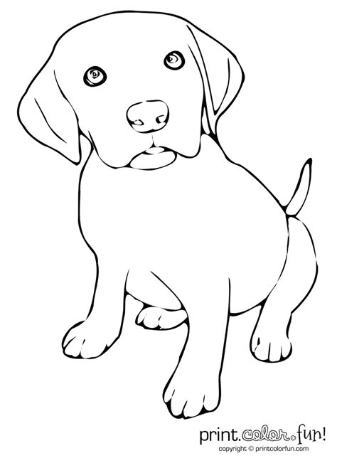 Dog coloring pages depict various types of dogs which makes filling them up with diversified colors an interesting experience. Cute puppy - Print Color Fun!