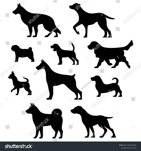 Vector Dog Breeds Silhouettes Collection Isolated Stock Vector Royalty