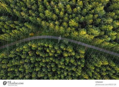 Curved Path In The Forest View From A Drone A Royalty Free Stock