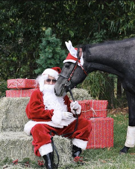 Santa Photos With Your Horse Samford With Equipad Samford