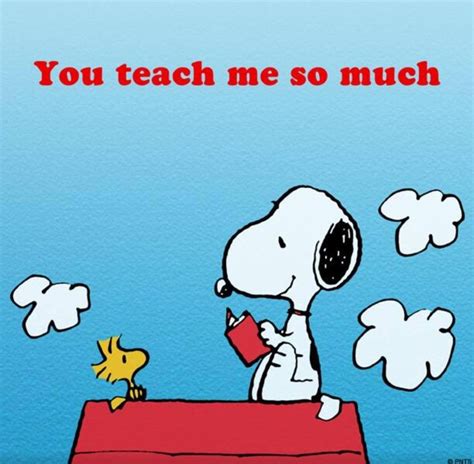 Snoopy Teacher Snoopy Funny Snoopy Love Snoopy Pictures