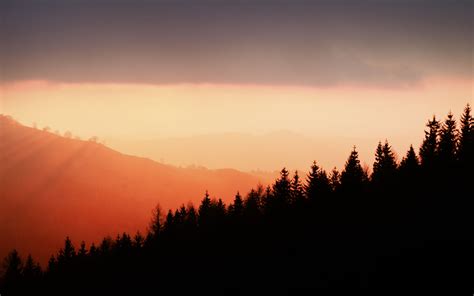 Download Wallpaper 3840x2400 Trees Silhouettes Fog Sunset Sky