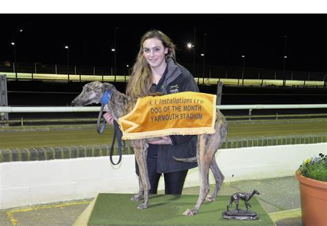 Westmead hawk is on facebook. Yarmouth Greyhound of the Month: Kilgraney Emma ...