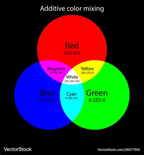 Additive Color Mixing Scheme Rgb Colors Theory Vector Image
