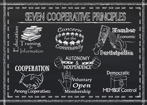 Our Principles — Basics Cooperative