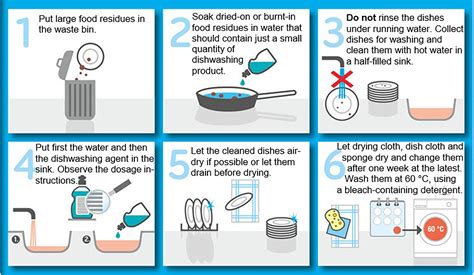 What Science Knows About Our Daily Dishwashing Routine