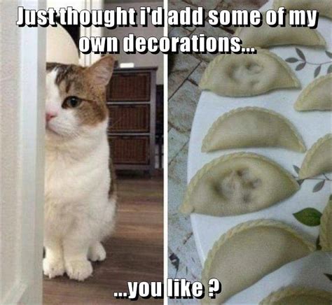 15 Cat Memes Cheezburger Factory Memes
