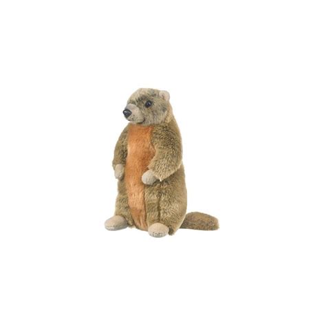 Marmot Marmot Groundhog Woodchuck Stuffed Animal Plush Yellow Bellied