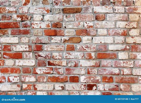 Old Brick Wall With White And Red Bricks Stock Photo Image 60723148