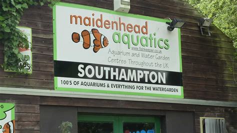 Southampton Maidenhead Aquatics Fish Store Review Tropical Fish Site