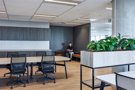 A Look Inside Jqzs New Sydney Office Officelovin