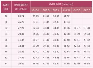 What size is 34B bra? – Celebrity.fm – #1 Official Stars, Business