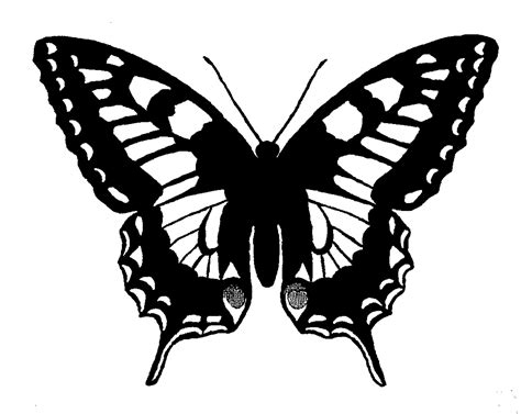 Butterfly Black And White Clip Art Black And White Moth Clipart The