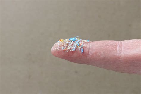 The Unlikely Solution To Microplastic Pollution Magnets