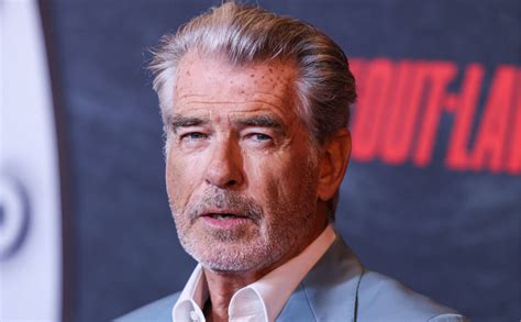 Pierce Brosnan Pleads Guilty To National Park Violation The Verde