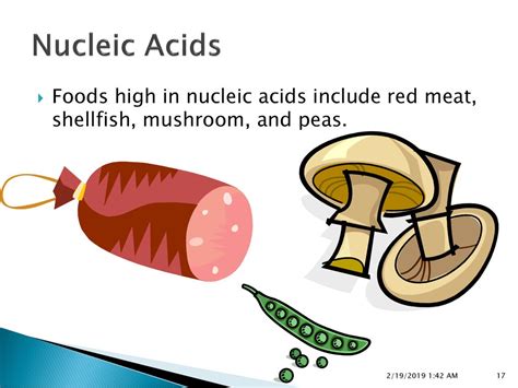 Nucleic acids are one of the four basic kinds of organic molecules. Nucleic acid foods cliparts collection - Cliparts World 2019