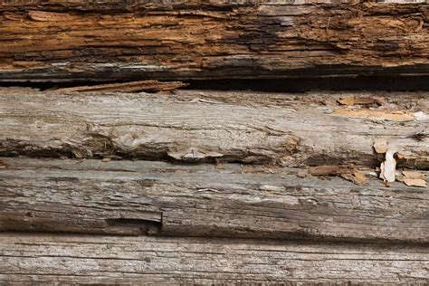 Old Rotten Plank Free Texture