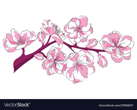 Cartoon Branch Cherry Blossoms Royalty Free Vector Image