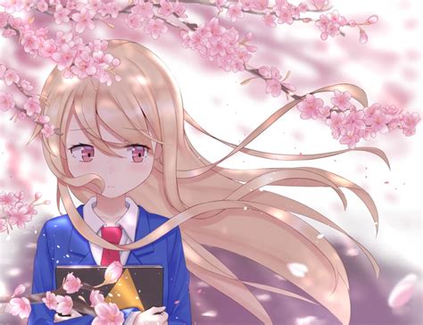 Sakurasou Sasatabekung Shiina Mashiro Mashiro Sakura Sou No Pet Na