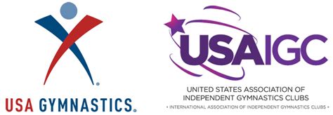Gymnast illustration, artistic gymnastics silhouette female, gymnastics, physical fitness, sport png. Flip-Flop Gymnastics | Westhampton Beach, NY