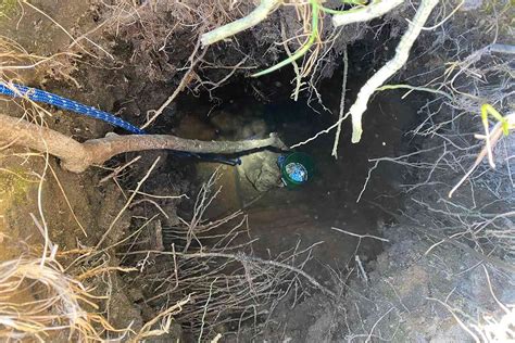 Florida Firefighters Rescue Dog Trapped In 15 Foot Hole