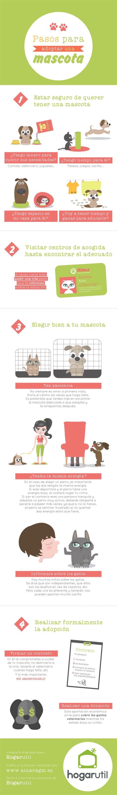 Infografía De Pasos Para Adoptar Una Mascota Hogarmania
