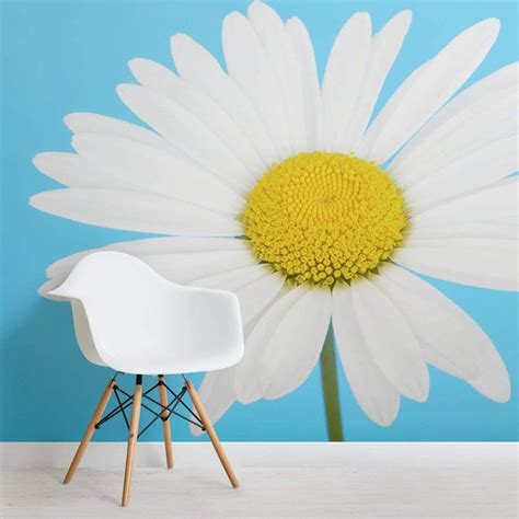 Bright Daisy Flower Square 2 Wall Murals Large Floral Wallpaper Daisy