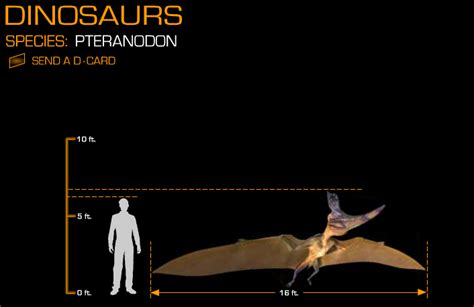 Disney Dinosaur Size Comparison Pteranodon By Wolfman3200 On Deviantart