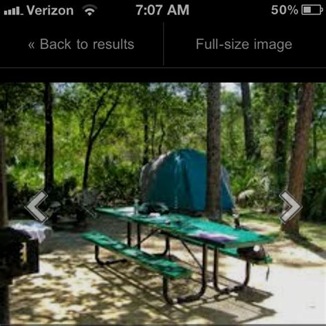 The ocala national forest is a unique and fascinating forest that offers an accommodating climate for year round recreating. Pin by Kris Rooney on Camping Fun | Cabin camping, Florida ...