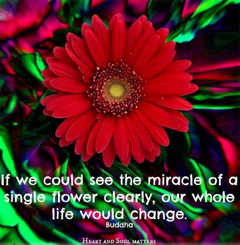 Flower Quote Via Heart And Soul Matters On Facebook Quotes About